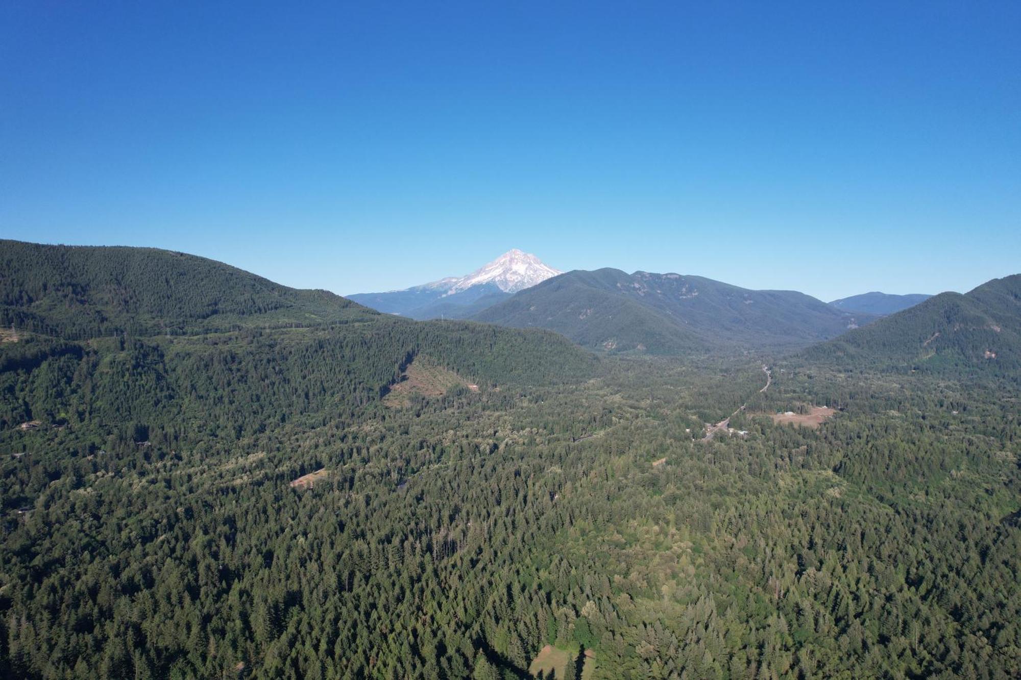 Mount Hood Village Premium Yurt 4 Welches Extérieur photo