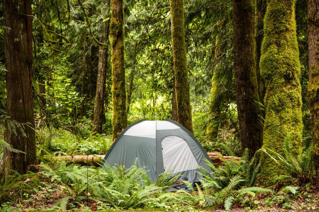 Mount Hood Village Premium Yurt 4 Welches Extérieur photo