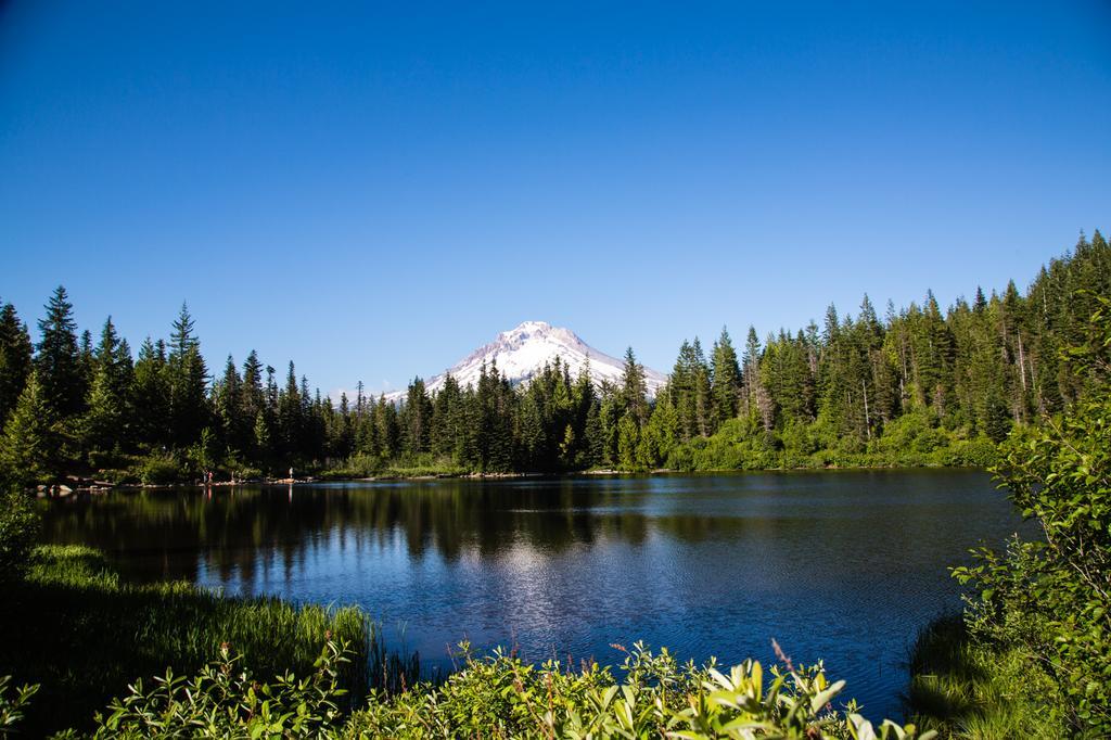 Mount Hood Village Premium Yurt 4 Welches Extérieur photo